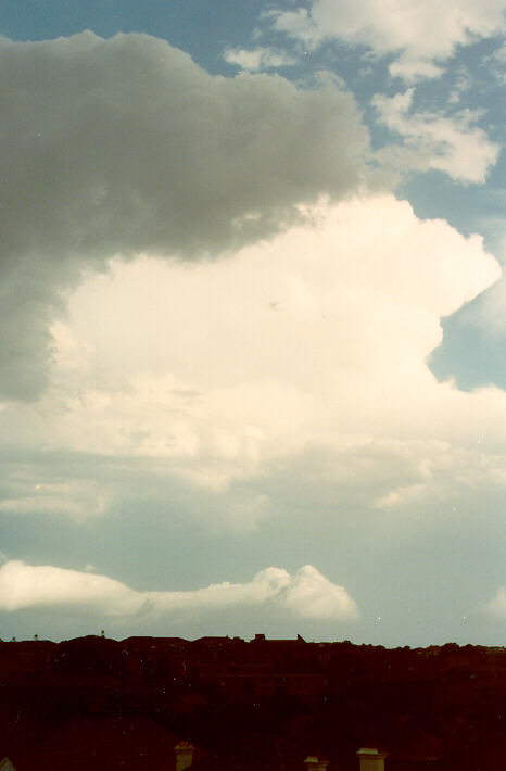 thunderstorm cumulonimbus_incus : Coogee, NSW   20 December 1989
