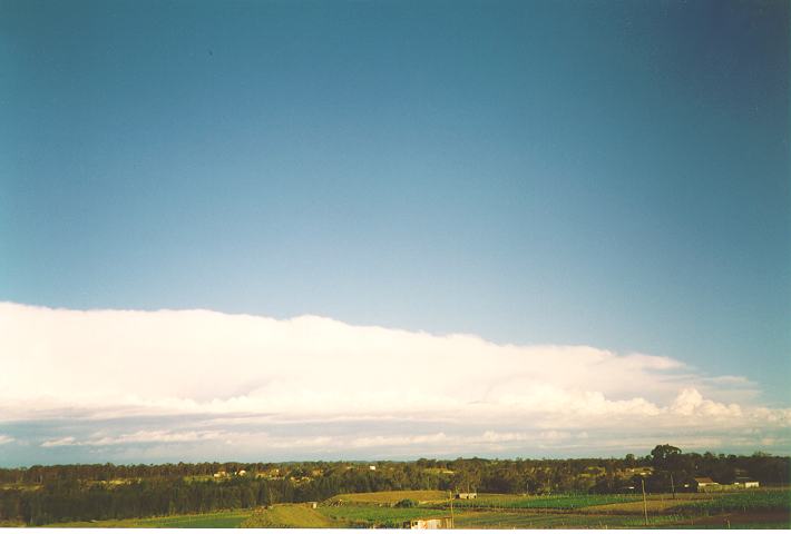 thunderstorm cumulonimbus_incus : Schofields, NSW   26 December 1993