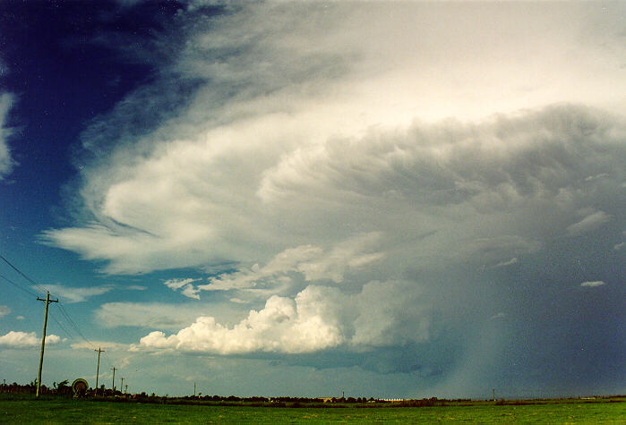 anvil thunderstorm_anvils : Richmond, NSW   5 February 1995