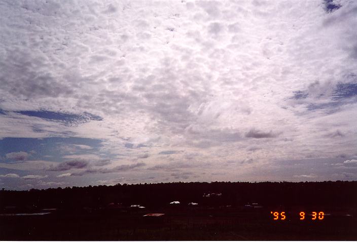 altocumulus mackerel_sky : Schofields, NSW   30 September 1995