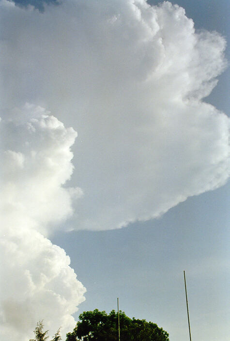 anvil thunderstorm_anvils : Darwin, NT   5 December 1997