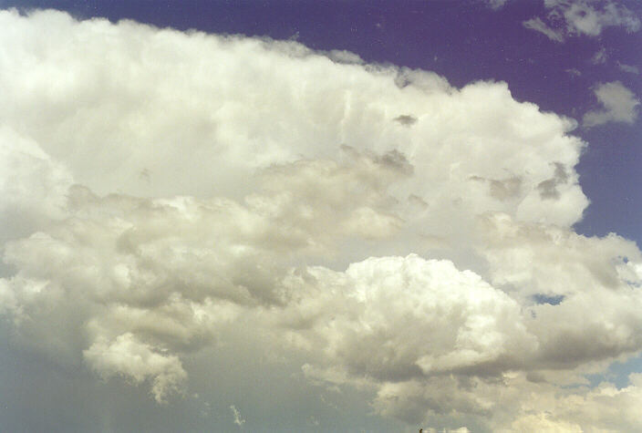 thunderstorm cumulonimbus_incus : Oakhurst, NSW   19 December 1997