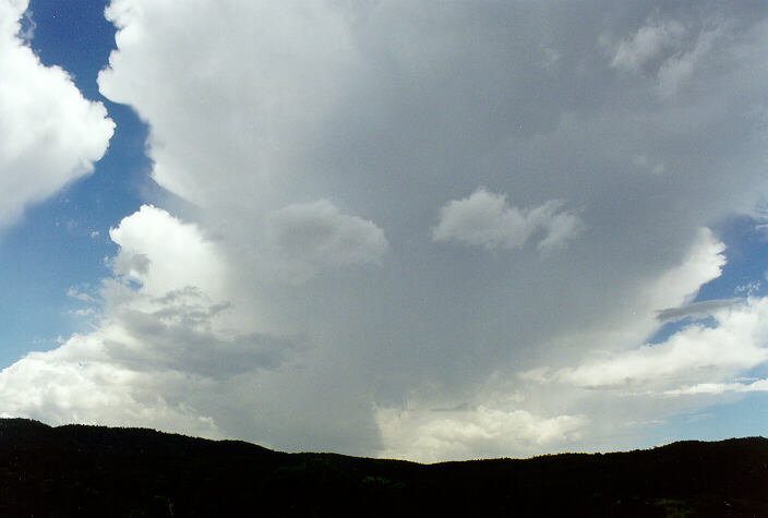 thunderstorm cumulonimbus_incus : near Tenterfield, NSW   23 December 1997