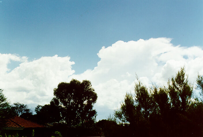 thunderstorm cumulonimbus_incus : Oakhurst, NSW   12 February 1998