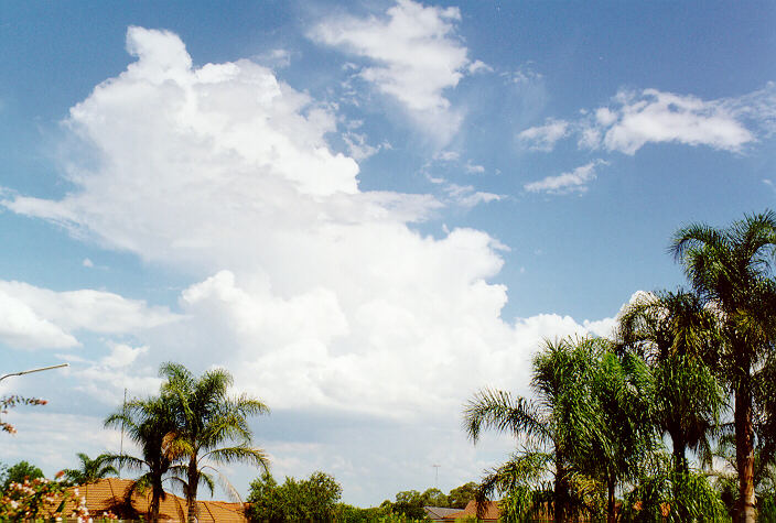 thunderstorm cumulonimbus_incus : Oakhurst, NSW   12 February 1998