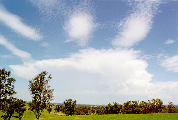 altocumulus altocumulus_cloud : Kemps Creek, NSW   15 February 1998