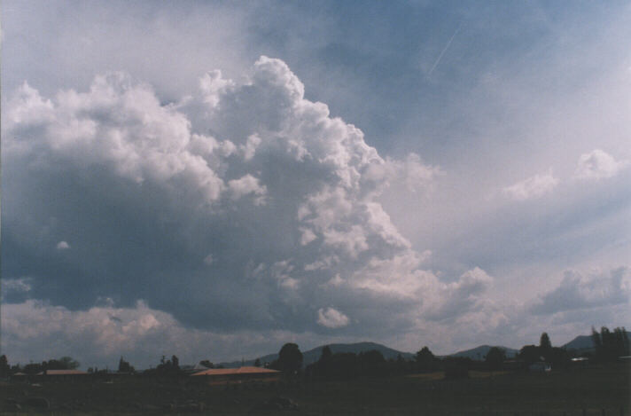 thunderstorm cumulonimbus_calvus : Tenterfield, NSW   5 October 1998