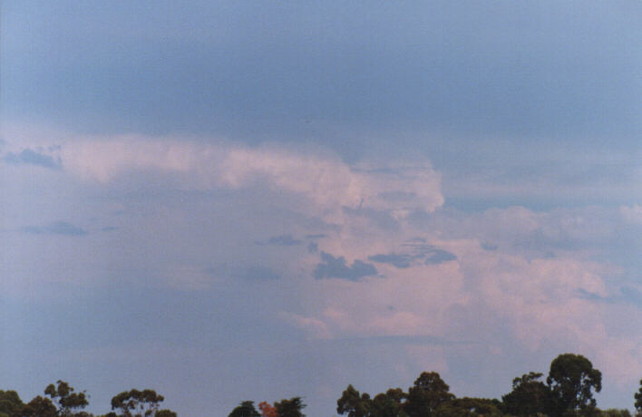 cirrostratus cirrostratus_cloud : Rooty Hill, NSW   13 March 1999