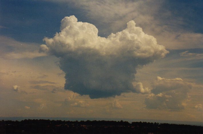 cumulus congestus : Rooty Hill, NSW   13 March 1999