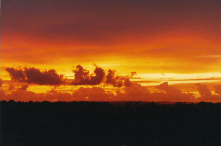 cumulus congestus : Schofields, NSW   19 March 1999