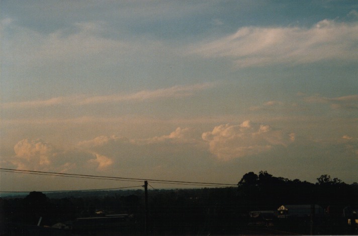 thunderstorm cumulonimbus_calvus : Schofields, NSW   2 October 1999