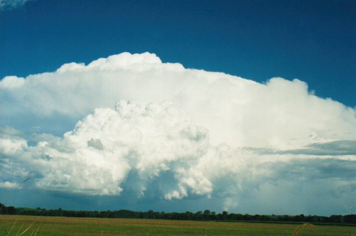 thunderstorm cumulonimbus_incus : S of Lismore, NSW   24 October 1999