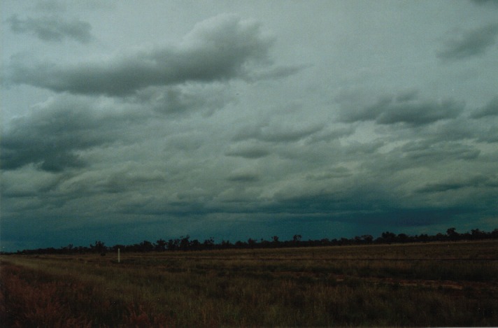 stratocumulus stratocumulus_cloud : S of Wyandra, Qld   26 November 1999
