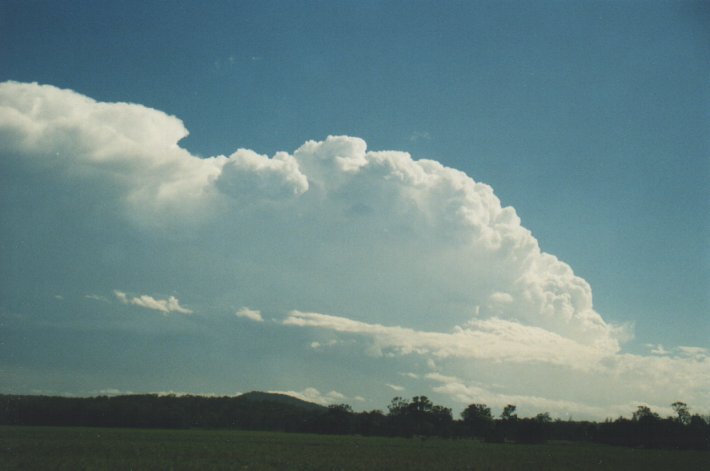 thunderstorm cumulonimbus_incus : Whiporie Road, NSW   31 December 1999