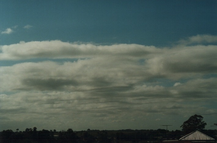 stratocumulus stratocumulus_cloud : Schofields, NSW   24 January 2000