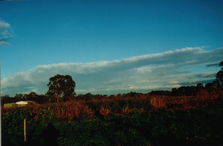 stratocumulus stratocumulus_cloud : Schofields, NSW   23 June 2000