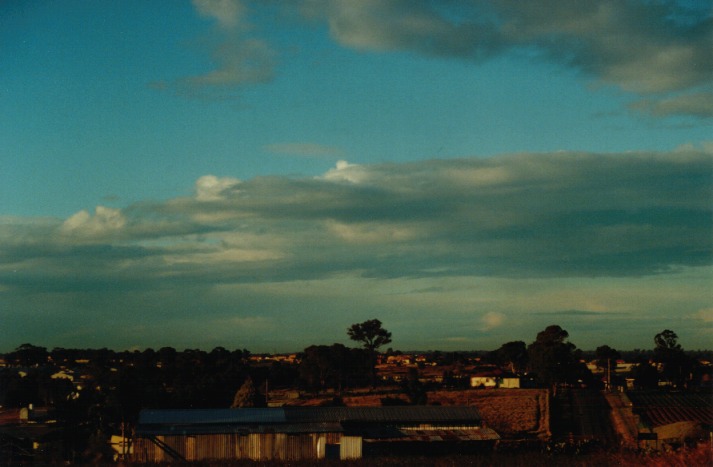 cumulus mediocris : Schofields, NSW   23 June 2000