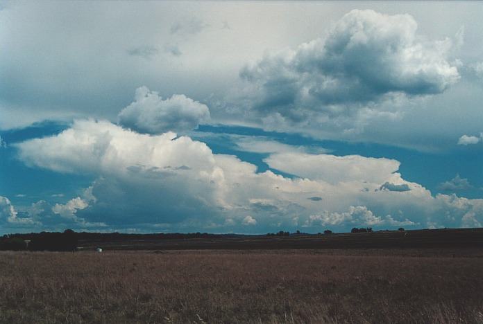 thunderstorm cumulonimbus_incus : Inverell, NSW   4 November 2000