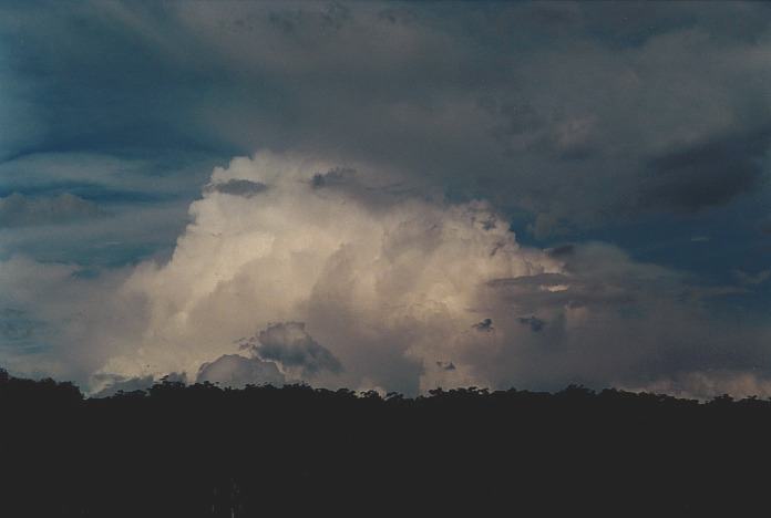 thunderstorm cumulonimbus_incus : ranges W of Grafton, NSW   4 November 2000