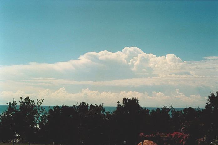 thunderstorm cumulonimbus_incus : Sandy Beach, NSW   5 November 2000