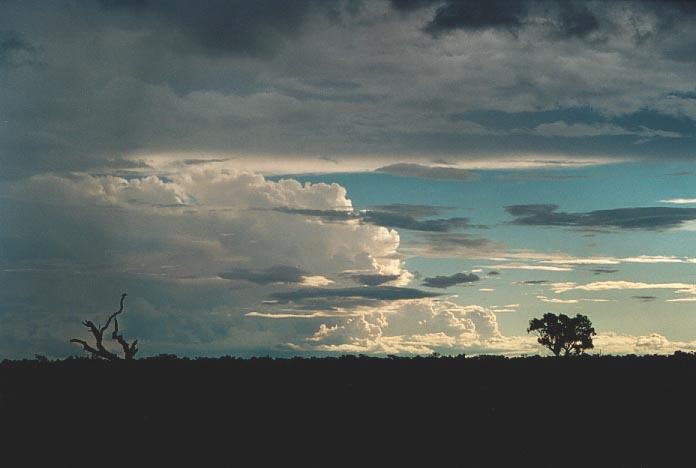 anvil thunderstorm_anvils : 100km N of Bourke, NSW   19 November 2000