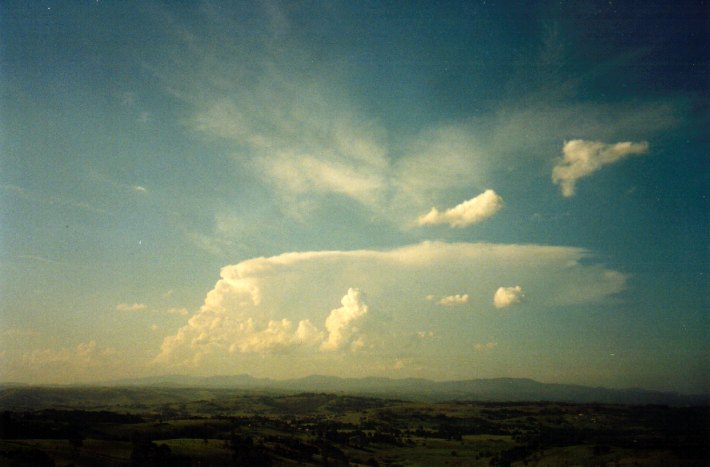 anvil thunderstorm_anvils : McLeans Ridges, NSW   1 December 2001