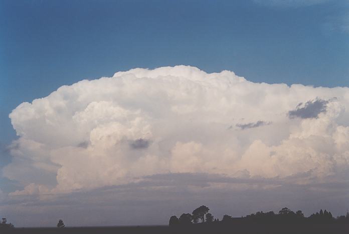 thunderstorm cumulonimbus_incus : Macksville, NSW   4 December 2001