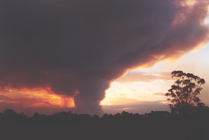 sunset sunset_pictures : Schofields, NSW   26 December 2001