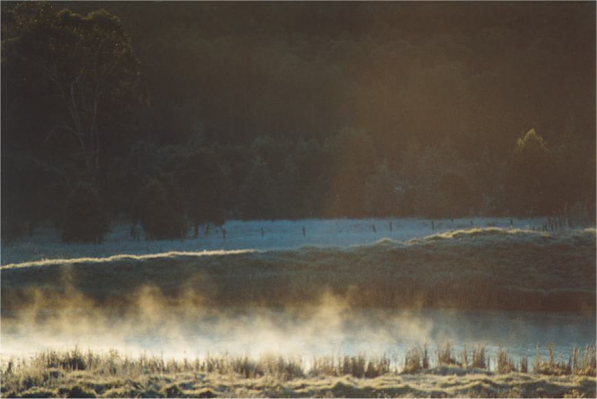 fogmist fog_mist_frost : Schofields, NSW   12 July 2002