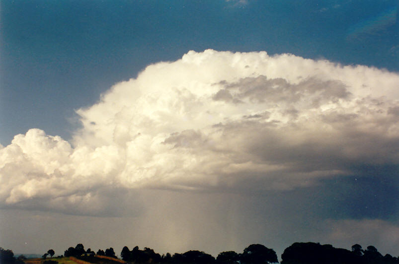 thunderstorm cumulonimbus_calvus : McLeans Ridges, NSW   7 September 2002