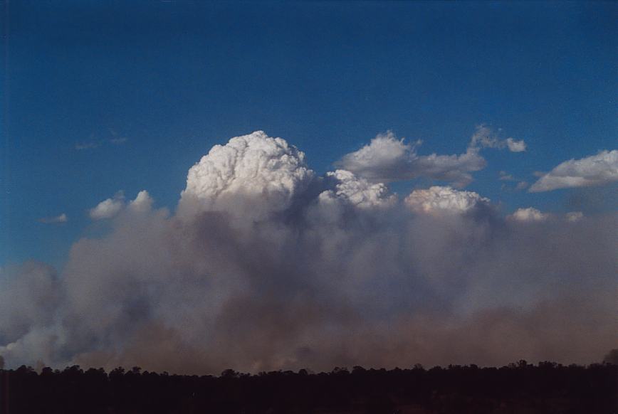 cumulus pyrocumulus : Schofields, NSW   5 December 2002