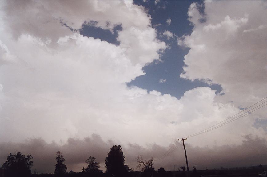 stratus stratus_cloud : Bowral, NSW   8 January 2003