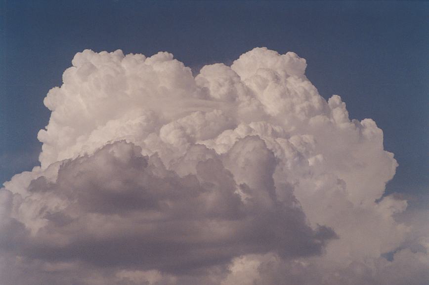 updraft thunderstorm_updrafts : Schofields, NSW   18 January 2003