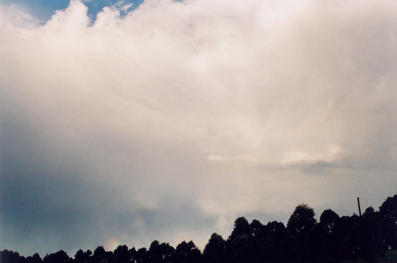 raincascade precipitation_cascade : McLeans Ridges, NSW   31 August 2003