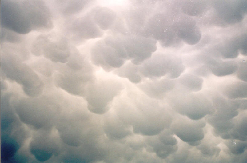 mammatus mammatus_cloud : McLeans Ridges, NSW   26 September 2003