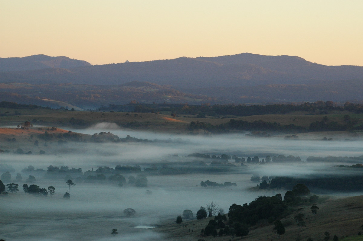 fogmist fog_mist_frost : McLeans Ridges, NSW   10 August 2004