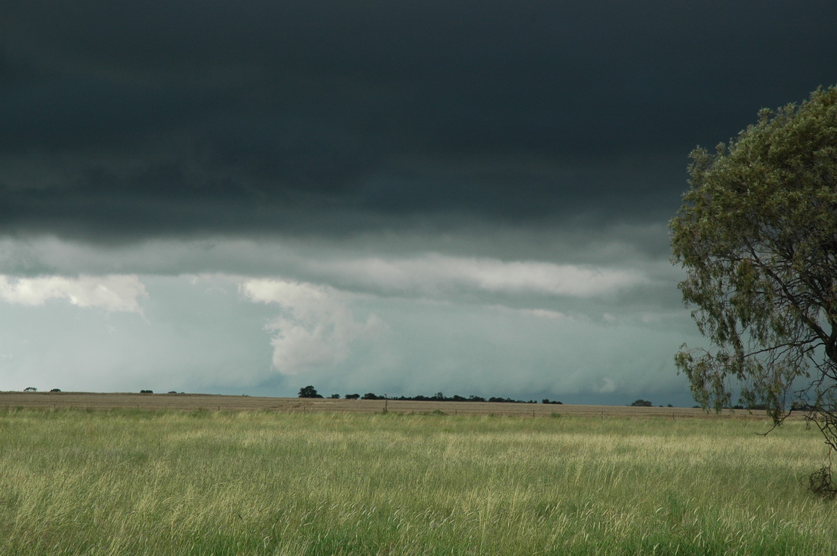 cumulonimbus thunderstorm_base : near Narrabri, NSW   27 December 2004