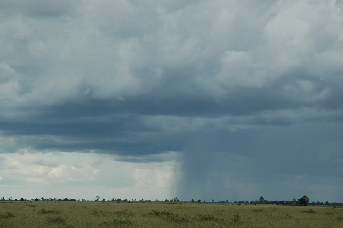 raincascade precipitation_cascade : S of Moree, NSW   27 December 2004