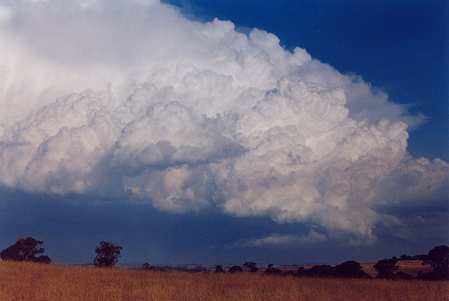 thunderstorm cumulonimbus_incus : Crookwell, NSW   22 January 2005