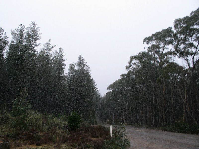 snow snow_pictures : near Oberon, NSW   15 July 2005