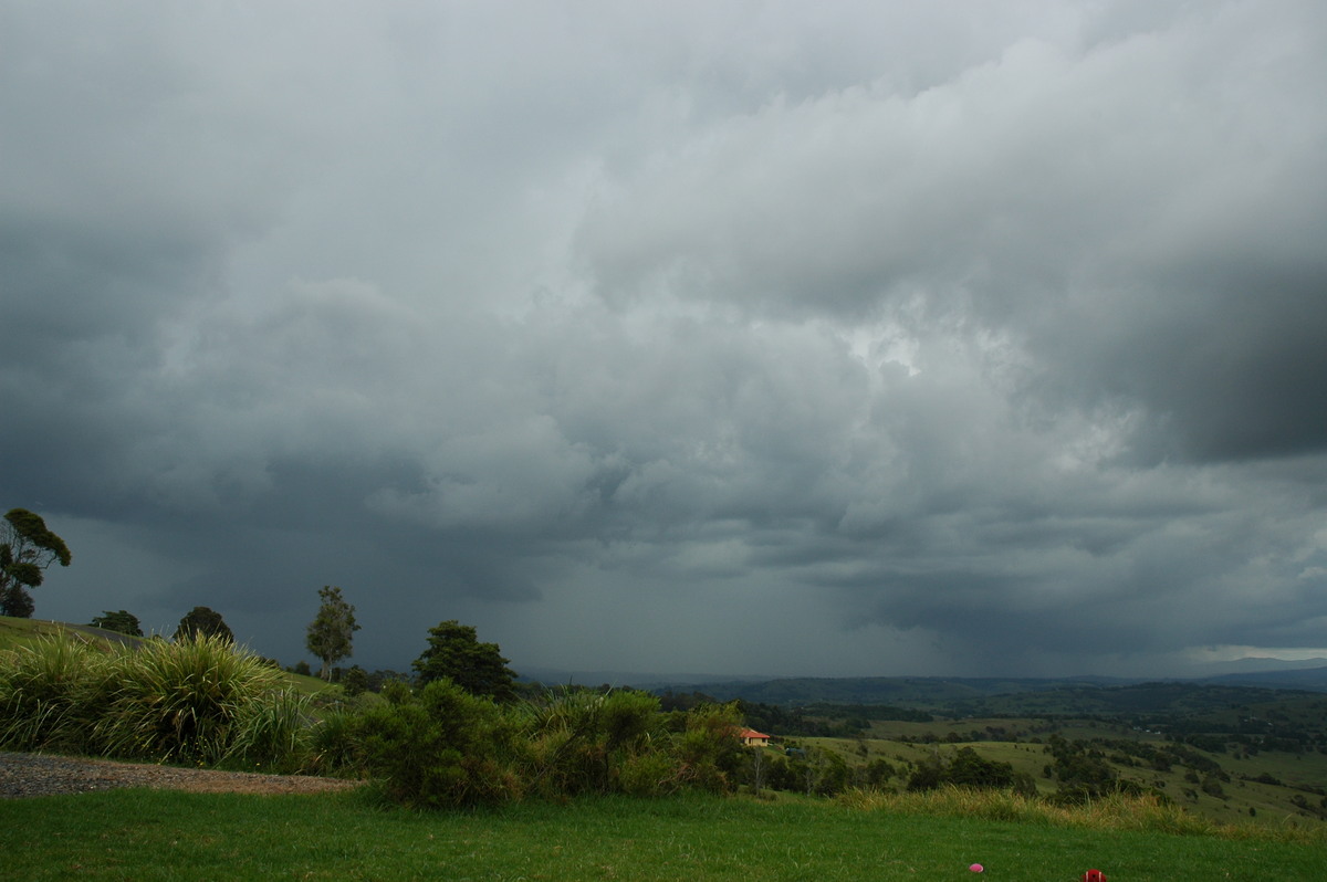 cumulonimbus thunderstorm_base : McLeans Ridges, NSW   23 November 2005