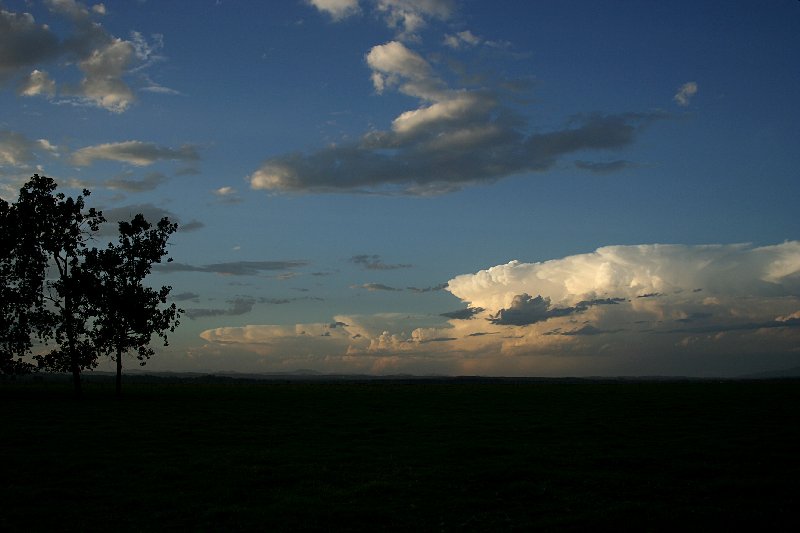 thunderstorm cumulonimbus_incus : Kempsey, NSW   13 December 2005