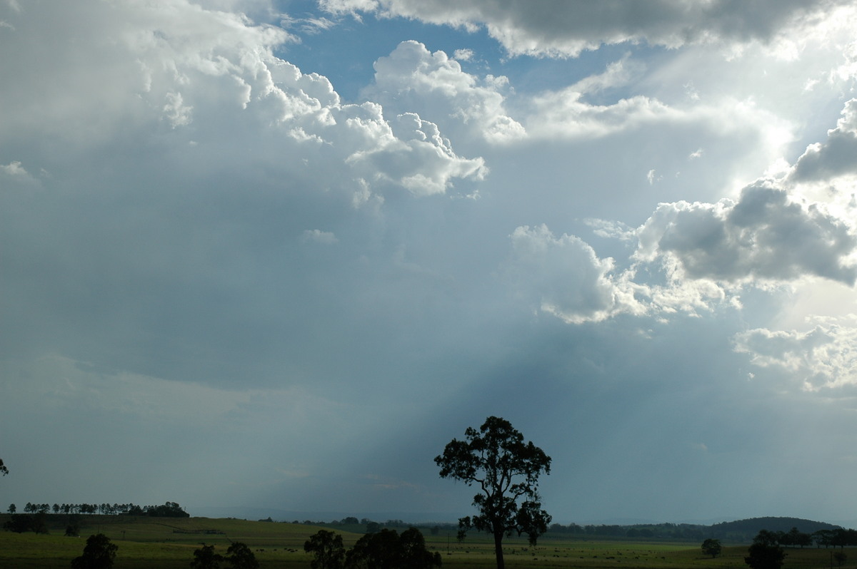 thunderstorm cumulonimbus_calvus : near Kyogle, NSW   13 December 2005
