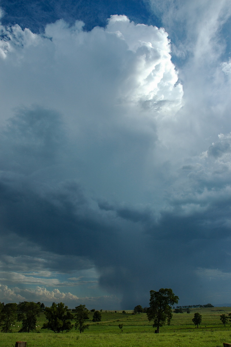 thunderstorm cumulonimbus_calvus : near Kyogle, NSW   13 December 2005