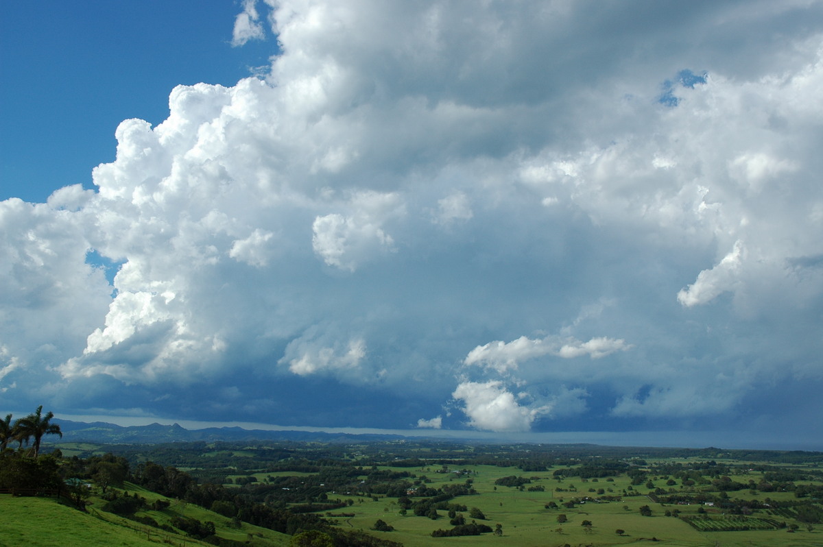thunderstorm cumulonimbus_calvus : Saint Helena, NSW   17 December 2005
