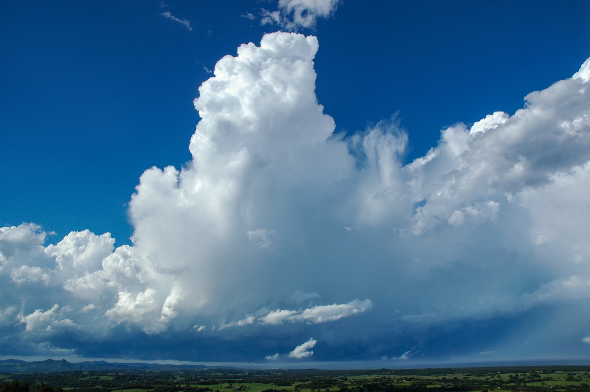 thunderstorm cumulonimbus_calvus : Saint Helena, NSW   17 December 2005