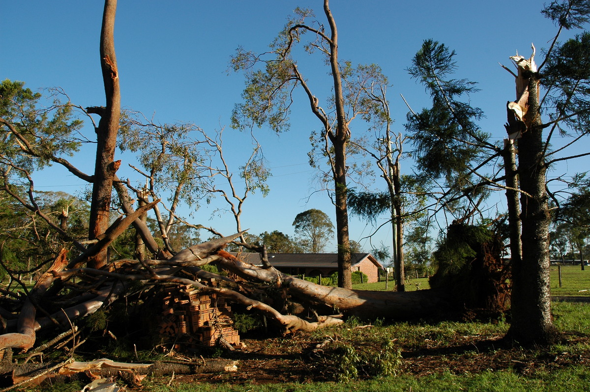 disasters storm_damage : Modanville, NSW   18 December 2005