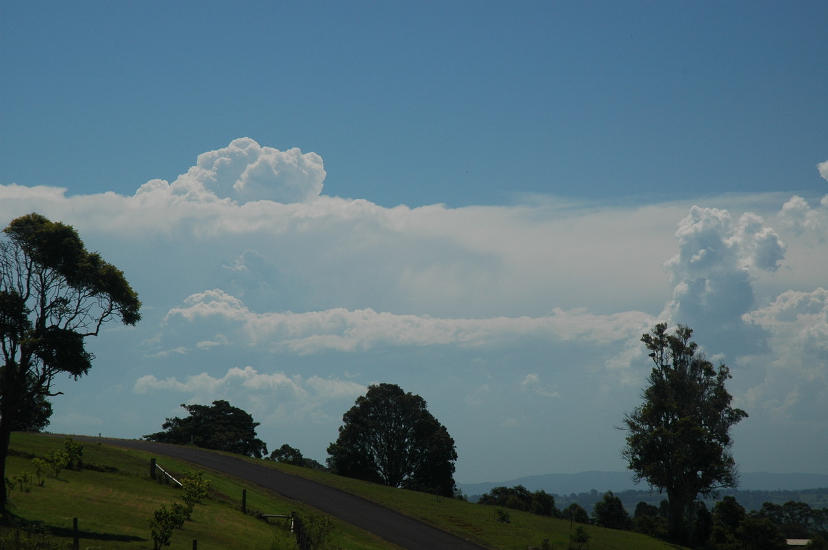 thunderstorm cumulonimbus_calvus : McLeans Ridges, NSW   23 December 2005