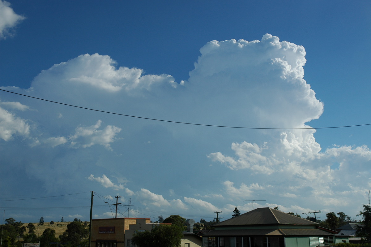 thunderstorm cumulonimbus_calvus : Yarraman, QLD   26 December 2005
