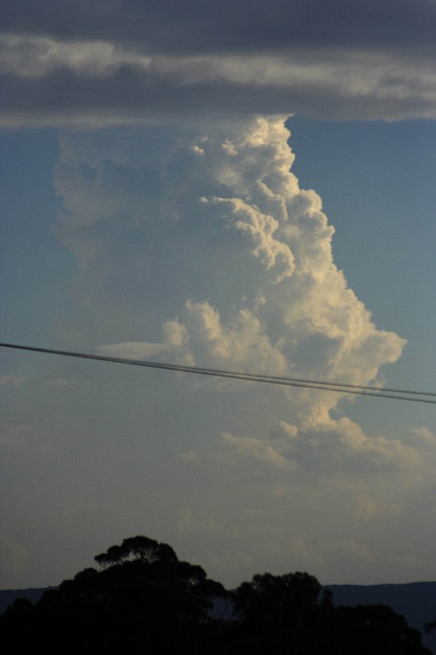thunderstorm cumulonimbus_calvus : N of Lithgow, NSW   3 February 2006